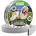 LORDDDON Flea and Tick Prevention Collar One Size Fits All Dogs and Cats Flea and Tick Control with Adjustable Design
