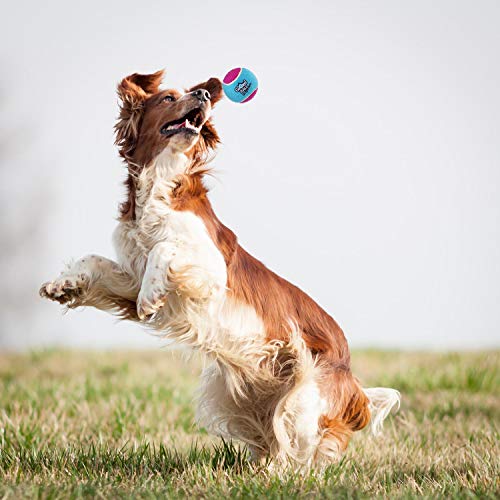 Gigwi Dog Squeaky Tennis Ball 2.5”, Bouncy and Assorted Colors Rubber Dog Tennis Balls Toy for Small and Medium Dogs (3 Pack) - Thumbnail 7