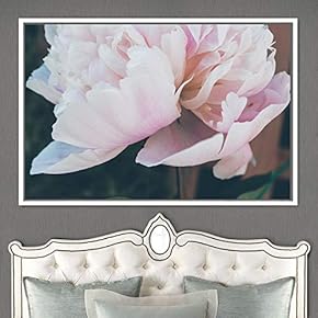 signwin Framed Canvas Wall Art Flora Snapshot Closeup...