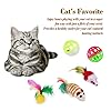 WeFine-Cat-Toys-21-Pcs-Kitten-Toys-Cat-Interactive-Toys-Set-for-Indoor-Cats WeFine Cat Toys 21 Pcs Kitten Toys Cat Interactive Toys Set for Indoor Cats