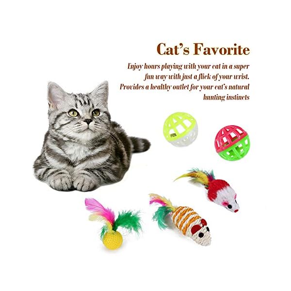 WeFine-Cat-Toys-21-Pcs-Kitten-Toys-Cat-Interactive-Toys-Set-for-Indoor-Cats WeFine Cat Toys 21 Pcs Kitten Toys Cat Interactive Toys Set for Indoor Cats