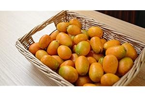 TANG STORE 3 Pounds (lbs) of Fresh Oval Kumquats Farm Grown in Southern California