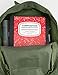 JanSport Black Label Superbreak Backpack - New Olive Green