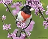 Garden Birds of North America 2012 Calendar by 