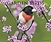 Garden Birds of North America 2012 Calendar by 