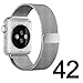 Apple Watch Band 42mm, Fully Magnetic Closure Clasp Mesh Loop Milanese Stainless Steel iWatch Band for Apple Watch Series 3 Series 2 Series 1 Sport and Edition (42mm-silver)