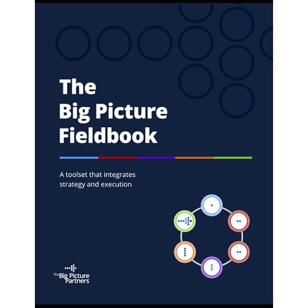 Amazon.com: Marketing Management: The Big Picture: 9781118014554