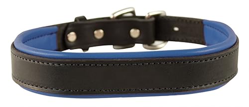 Perri's Padded Leather Dog Collar, Black/Blue, Medium