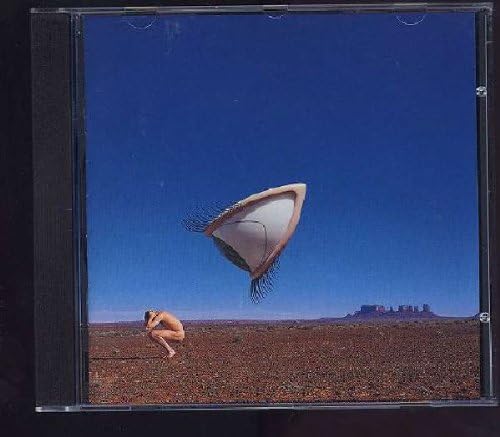 Cranberries - Bury the Hatchet - Amazon.com Music