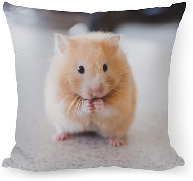Diuangfoong Little Hamster Pillow Covers Pillowcase 18x18 Inch: Amazon