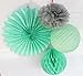 SUNBEAUTY Mint Series Grey Tissue Paper Pompom Mint Green Paper Fan Honeycomb Ball and Mint Green Paper Lantern Pack of 4