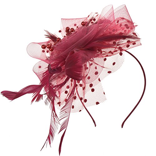 DRESHOW Fascinators Hat Flower Mesh Ribbons Feathers on a Headband and