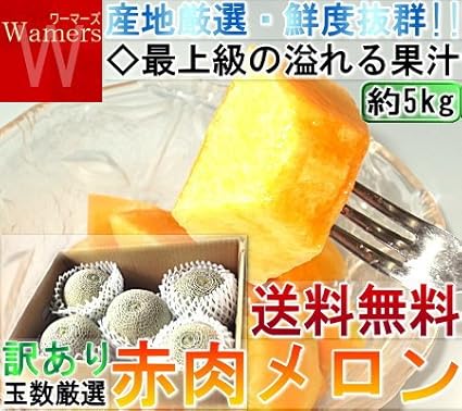 Amazon 産地から玄関へ 訳あり 赤肉メロン 約 5kg 産地から玄関へ メロン 通販