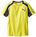 PUMA Little Boys' Perform Tee