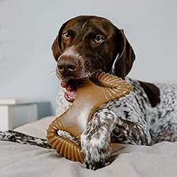 Benebone Dental Durable Dog Chew Toy for Aggressive