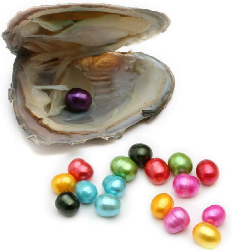 Vacuum-Packing 2pcs 6-7mm Freshwater Oval 20 Colors Pearl in Oyster Can Make Pendant Necklace (2 PCS Oyster)
