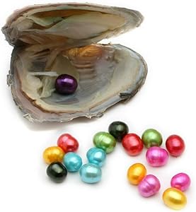 Vacuum-Packing 2pcs 6-7mm Freshwater Oval 20 Colors Pearl in Oyster Can Make Pendant Necklace (2 PCS Oyster)