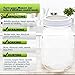 HomeSpec Canning Jar Strainer Sprouting Lid Set For Sprouts, Sifting, and Straining - Regular Mouth - Set of 4