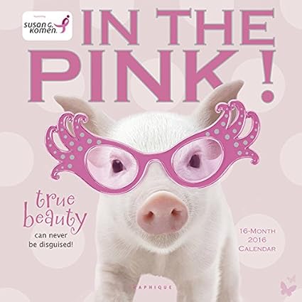 Calendrier 16 Cochon Rose Cochon Humoristique Bebe Cochon Porcelet Animaux De La Ferme Offert Un Agenda De Poche 16 Amazon Fr Fournitures De Bureau