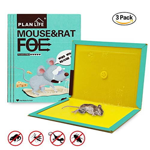 Mouse Trap Glue - Rat Killer and Insect Sticky Board Catch Pre-Baited Peanut Butter Scented for Mice & Rodent & Pests & Bug & Ant & Spider (3pack)-PLAN LIFE