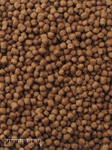 1 LB Aquatic Turtle Food 5/32' inch Floating Turtle Food New