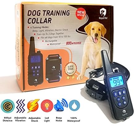 Royal pet dog training collar Clearance