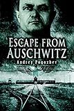 Escape From Auschwitz by Andrey Pogozhev