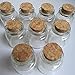 Luo House 10PCS 15ml Cute Small Cork Stopper Glass Bottle Vials Jars with Cork 30x40mm