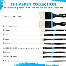 Princeton Aspen, Glare-Free Indoor/Outdoor Brush