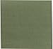 Army Universe Olive Drab Solid Color Jumbo Military Bandana (27