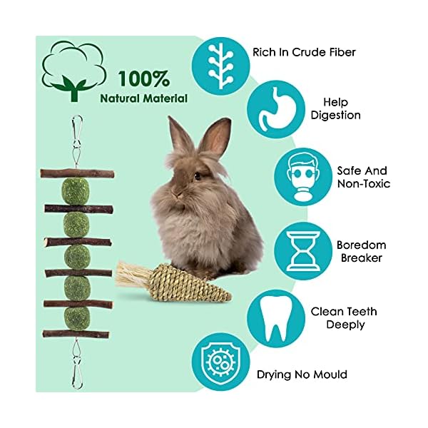 ERKOON Guinea Pig Treat Toys, Small Animal Chew Boredom Breaker Natural Rabbit Hamster Teeth Care Molar Grass Balls…