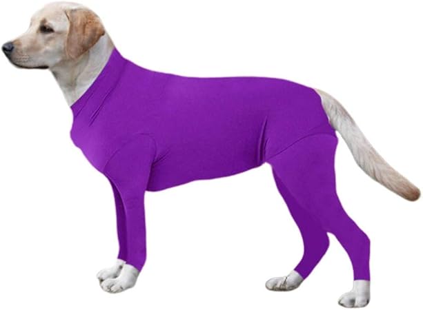 dog recovery suit pets at home