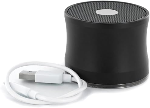 ewa a109 bluetooth speaker