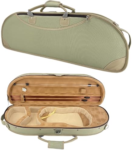 Amazon.com: Bam France Classic 5003S Shaped 4/4 Violin Case with