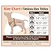 Best Pet Supplies Voyager Adjustable Dog Vest Harness Breathable No Pull Harness for Small, Medium, Large Dogs, Harness for Walking, Jogging, Easy Step-in, Reflective Stripes - Red, L