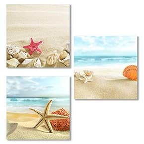 3 Piece Canvas Wall Art for Living Room, Bedroom Seashell Starfish on Beach Canvas Prints for Home Decoration Ready to Hang - 12"x12"x3 Panels