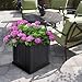 Mayne Cape Cod 14-Inch Square Planter – Self-Watering, Weather-Resistant Planter for Flowers – Durable Outdoor Design for Patio, Porch, or Entryway