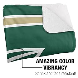 Sacramento State University Primary Logo Stripes
