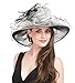 SAFERIN Women's Organza Church Kentucky Derby Fascinator Bridal Tea Party Wedding Hat
