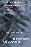 Steps under Water: A Novel
