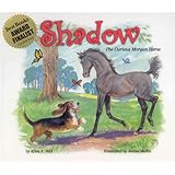 Shadow: The Curious Morgan Horse