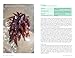 The River Cottage Edible Seashore Handbook (River Cottage Handbook)