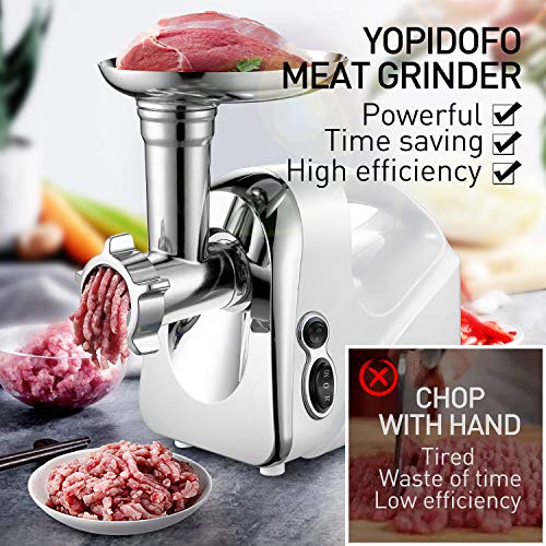 Electric Meat Grinder Sausage Stuffer Meat Mincer【1200W Max】with 3
