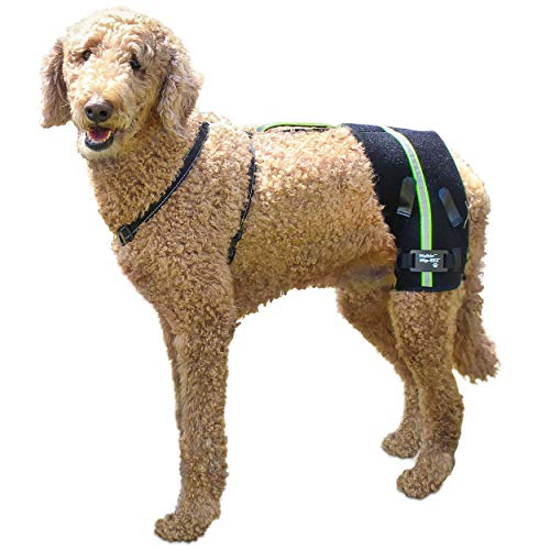 Walkin-Hip-EEZ-Dog-Hip-Brace-Support-Harness-System-Provides-Joint-Support-for-Dogs-with-Hip-Dysplasia-and-Other-Conditions-Affecting-The-Hip-Joint