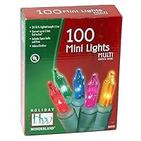 Holiday Wonderland #565223 100-Count Multi Color Christmas Light Set (2-pack)