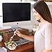 Set of 4 Divided Glass Meal Prep Containers – Food Storage Containers with Locking Lids and Extra-High Divider to prevent Leaking or Spills – Airtight and BPA-Free – Use in freezer, microwave at work