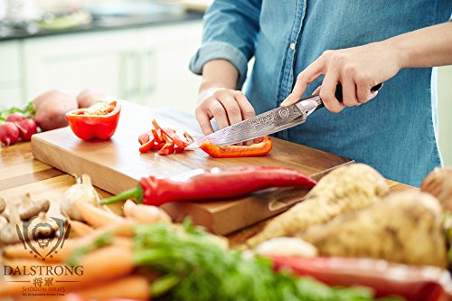 3 DALSTRONG+Utility+Knife+AUS+10V+Treated