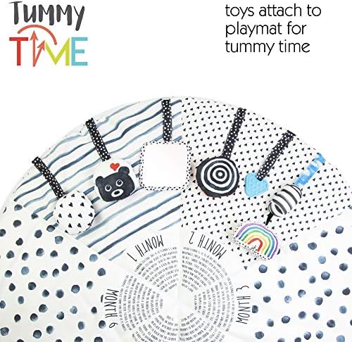 sassy activity mat
