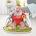 Fisher-Price Sit-Me-Up Floor Seat - Monkey, Portable Infant Chair with Toys