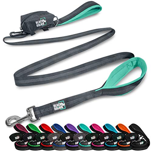 dual handle leash